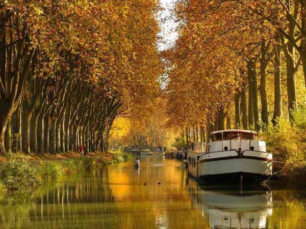 Chambre D'Hotes Neptune Wood Arzens Ruang foto